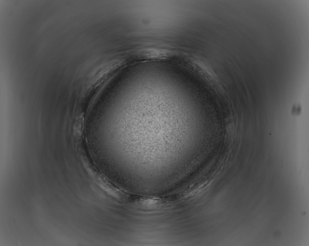 X0000088900325200707061500