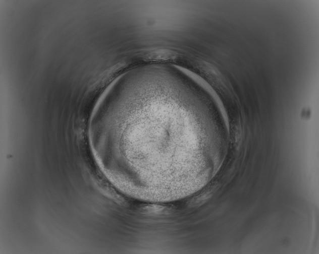 X0000088900326200707061500