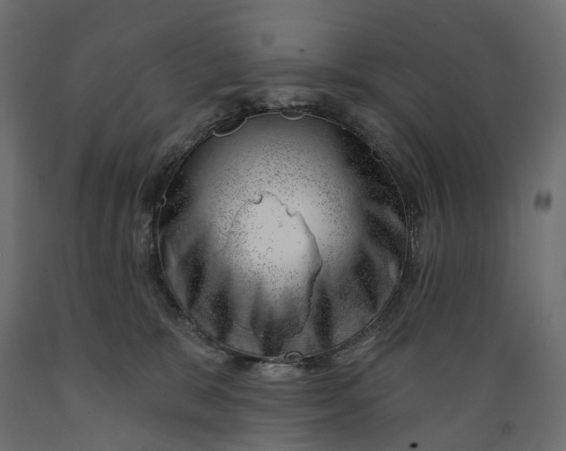 X0000088900327200707061500