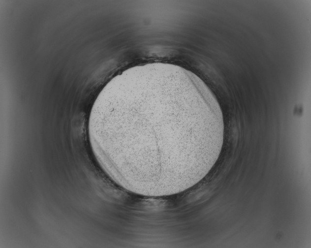 X0000088900328200707061500