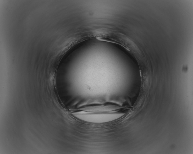 X0000088900329200707061500