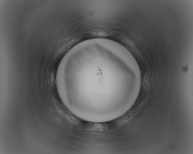 X0000088900330200707061500