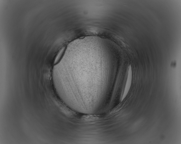 X0000088900331200707061500