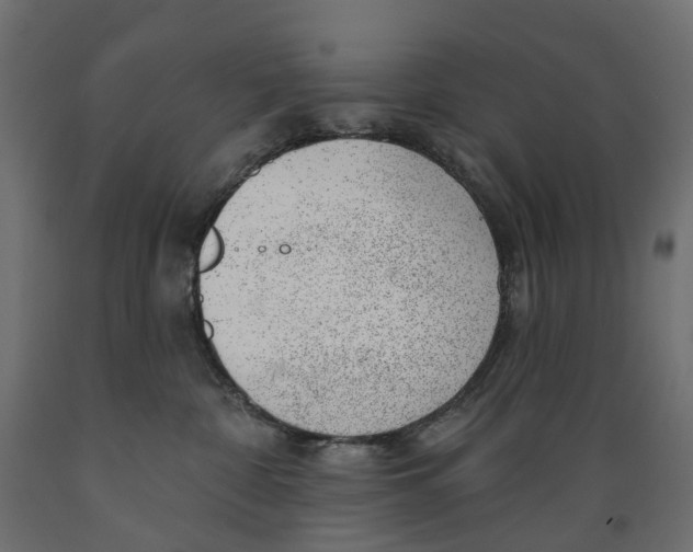 X0000088900332200707061500