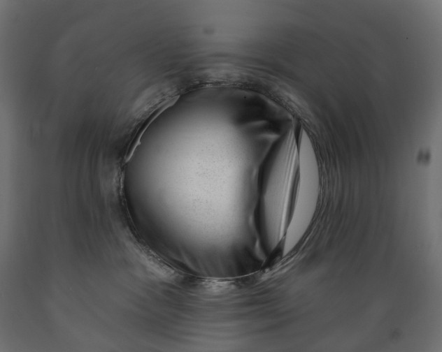 X0000088900333200707061500