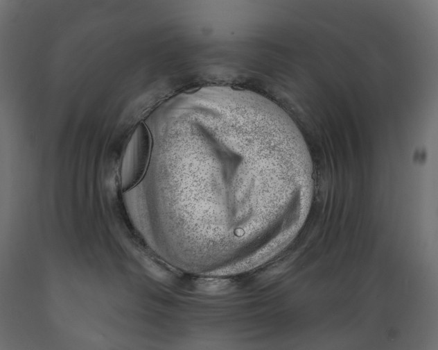 X0000088900334200707061500