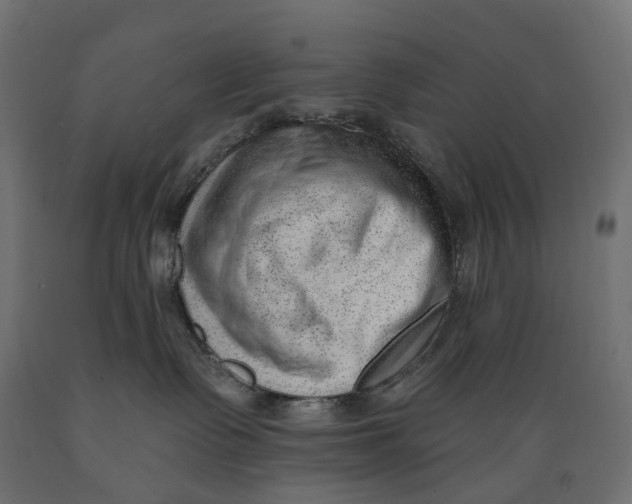 X0000088900335200707061500