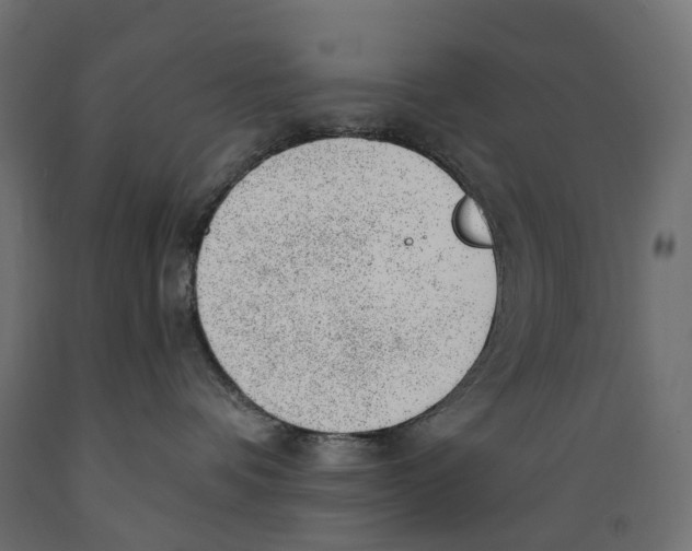 X0000088900336200707061500