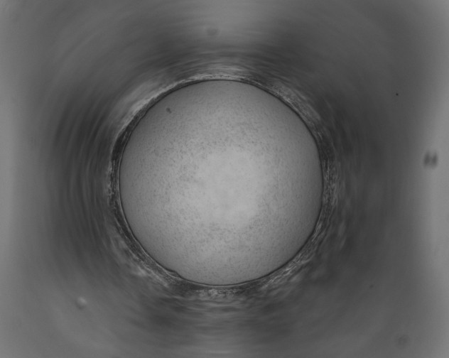 X0000088900338200707061459