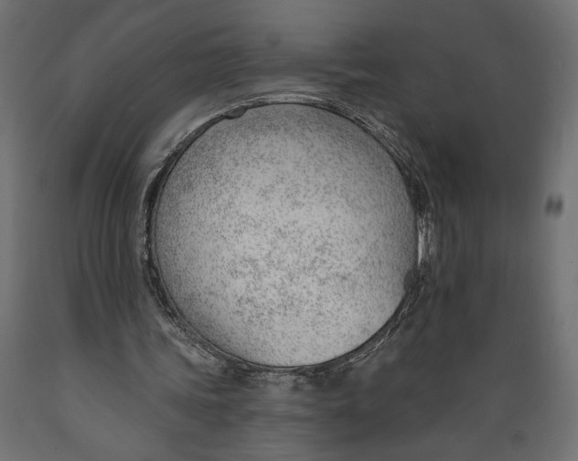 X0000088900339200707061459