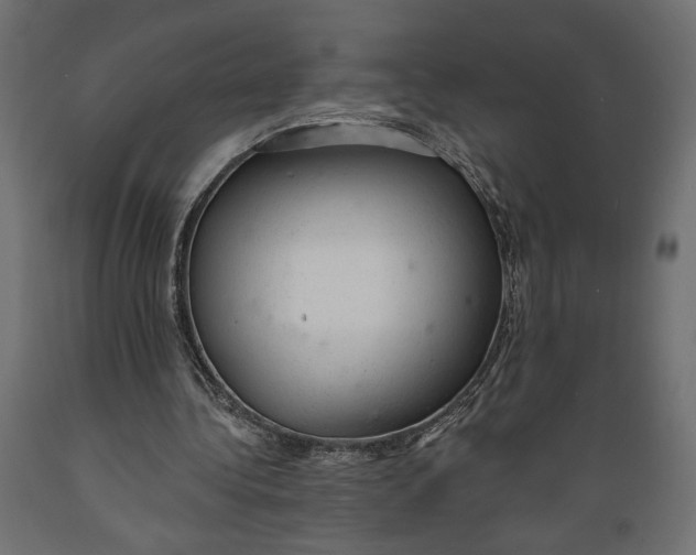 X0000088900340200707061459