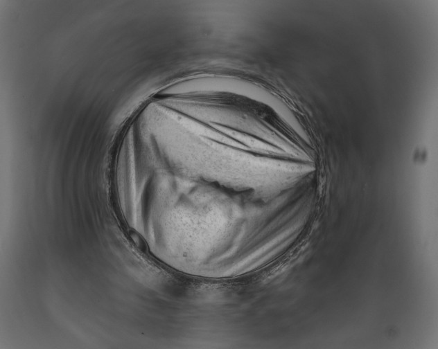 X0000088900341200707061459