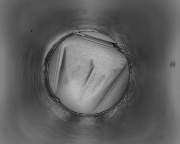 X0000088900342200707061459