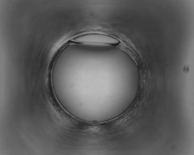 X0000088900344200707061459