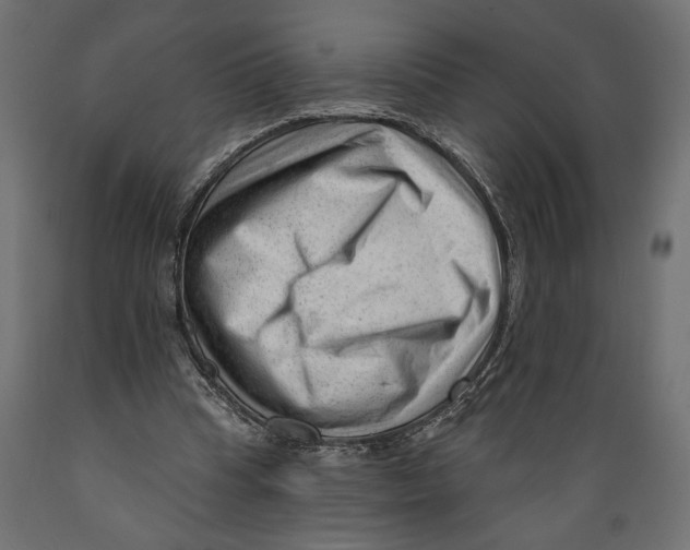 X0000088900345200707061459