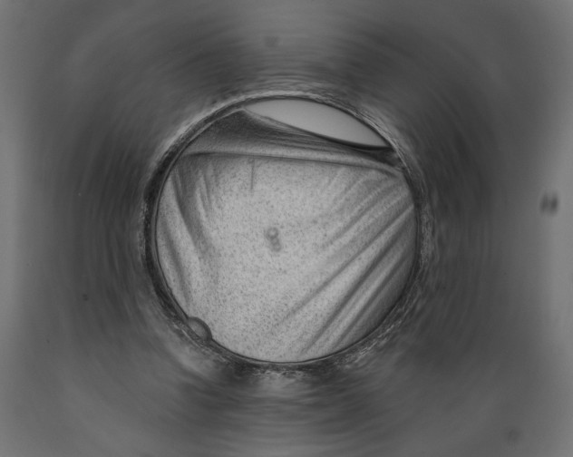 X0000088900346200707061459