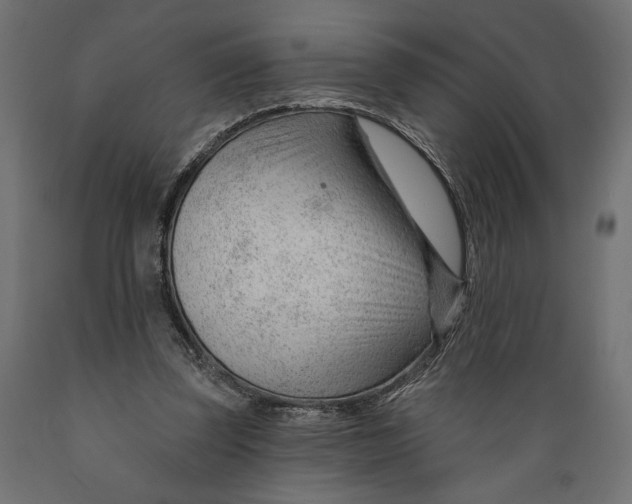 X0000088900347200707061459