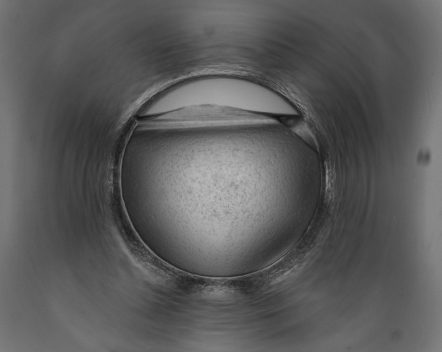 X0000088900348200707061459