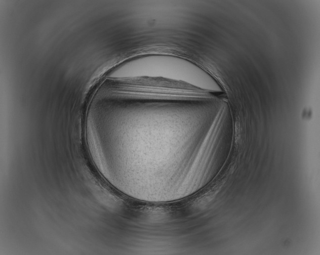 X0000088900349200707061459