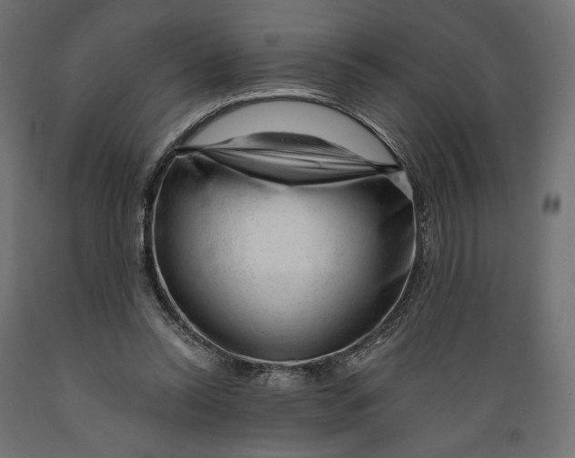 X0000088900350200707061459