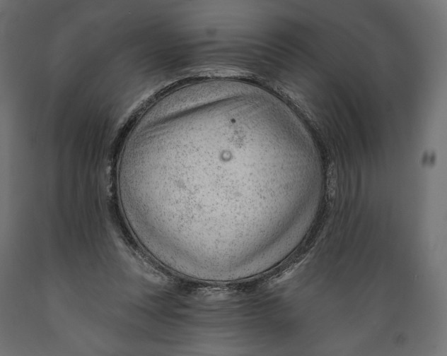 X0000088900351200707061459