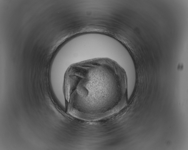 X0000088900352200707061459