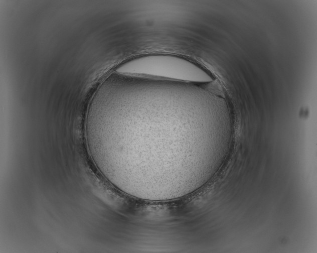 X0000088900353200707061459