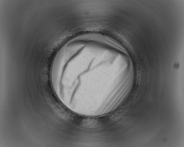 X0000088900354200707061459