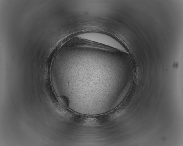 X0000088900355200707061459