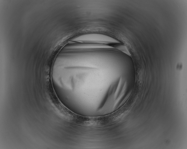 X0000088900356200707061459