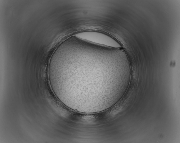 X0000088900357200707061459