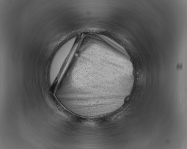 X0000088900358200707061459