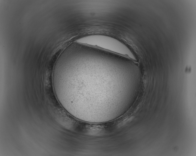 X0000088900359200707061459