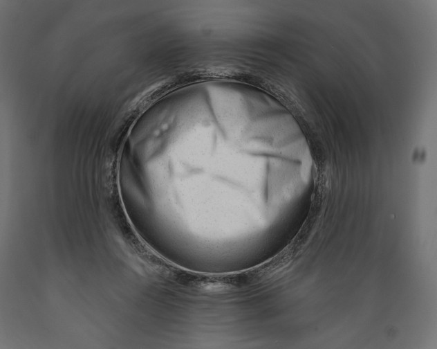 X0000088900360200707061459