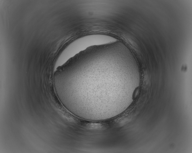 X0000088900361200707061459