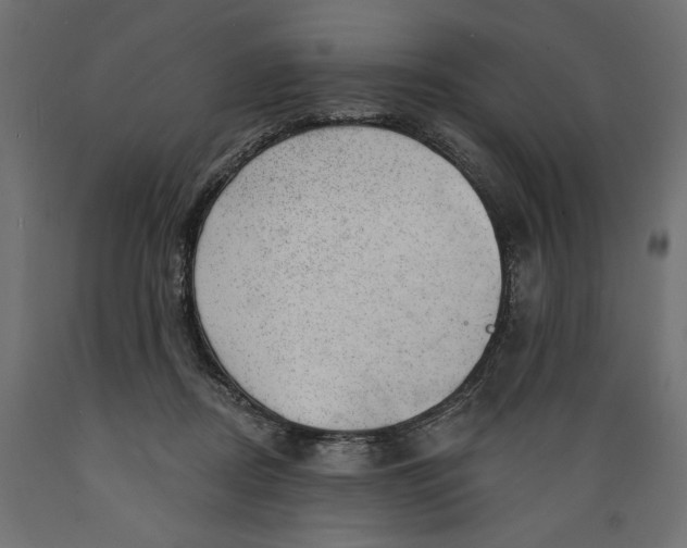 X0000088900362200707061459