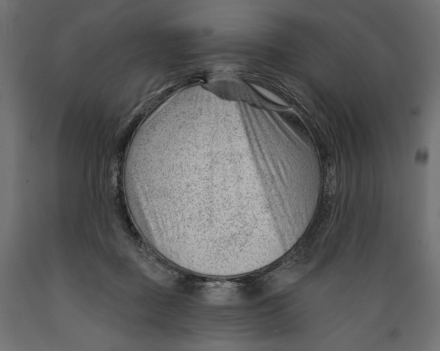 X0000088900363200707061459