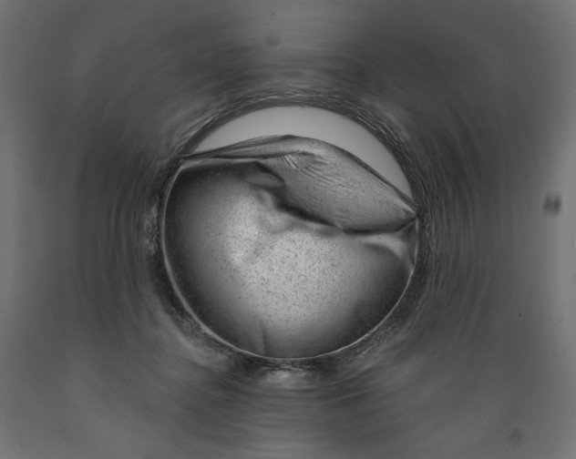 X0000088900364200707061500