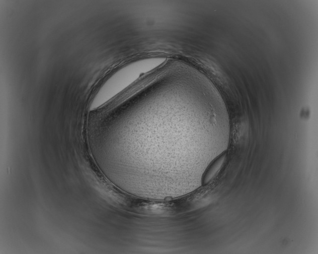 X0000088900365200707061500