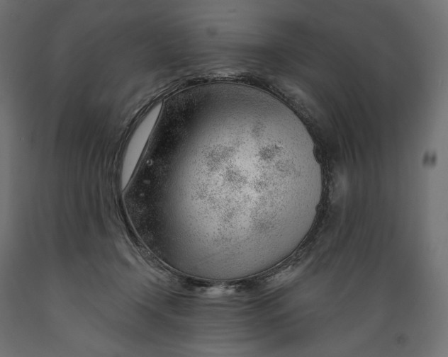 X0000088900366200707061500