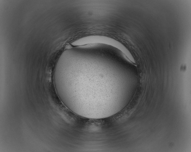 X0000088900368200707061500