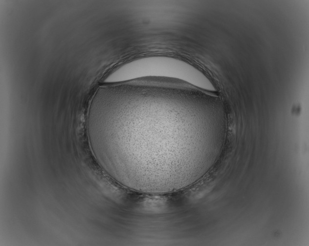 X0000088900369200707061500