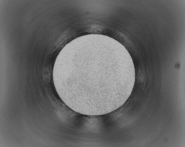 X0000088900370200707061500