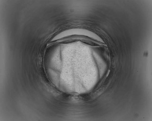 X0000088900372200707061500