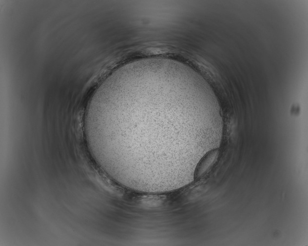 X0000088900373200707061500