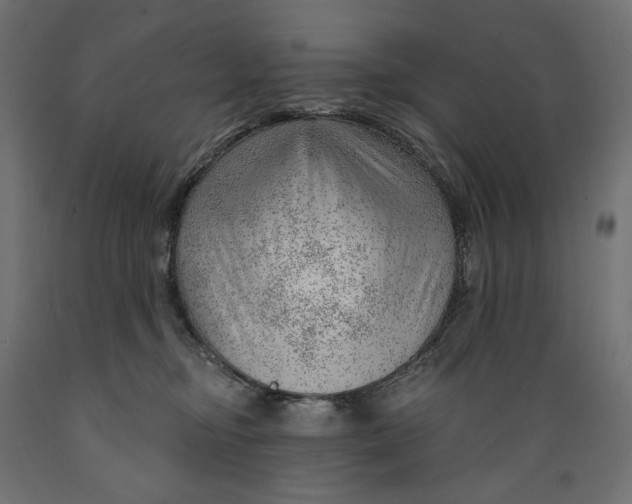 X0000088900374200707061500