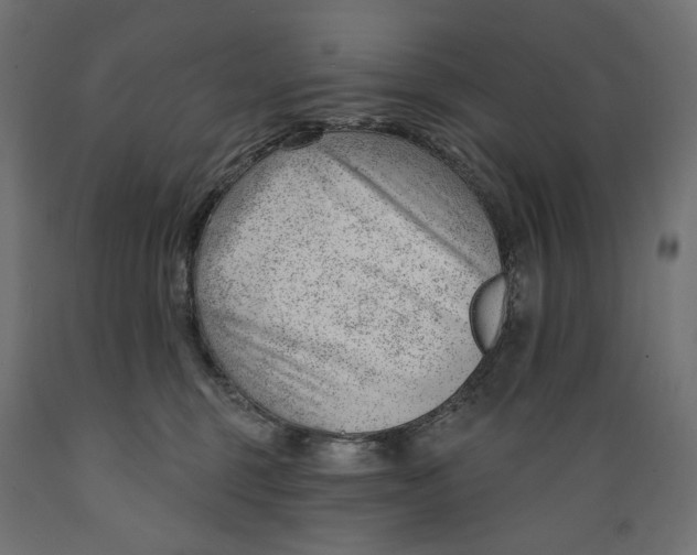 X0000088900375200707061500