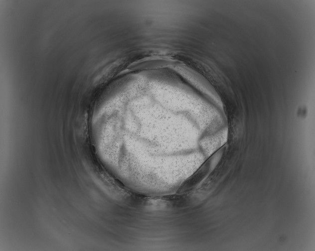 X0000088900376200707061500