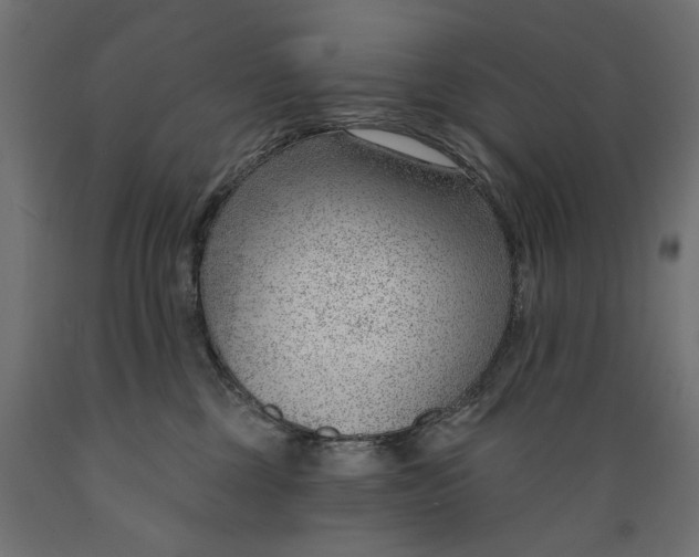 X0000088900377200707061500