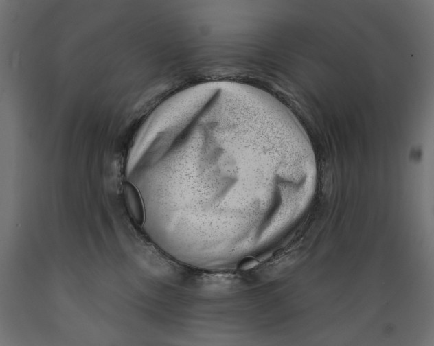 X0000088900378200707061500